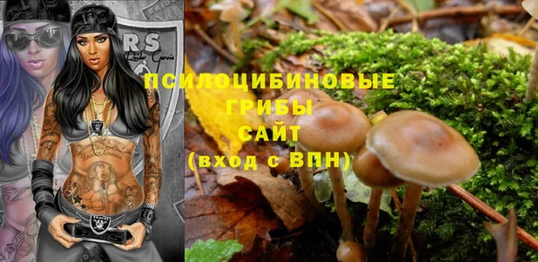 альфа пвп Белокуриха