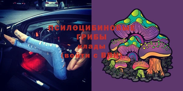 кокс Богданович
