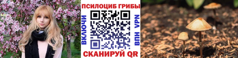 Галлюциногенные грибы мухоморы  Гороховец 