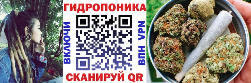 Каннабис OG Kush Гороховец